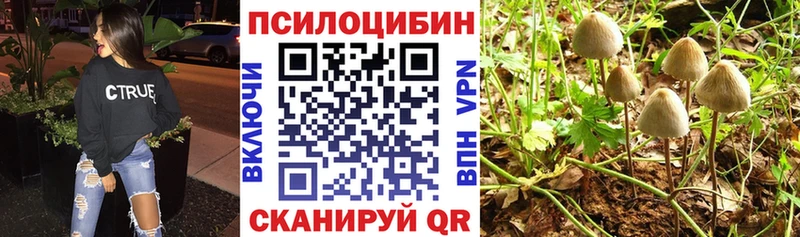 KRAKEN ONION  Иноземцево  Галлюциногенные грибы мицелий 
